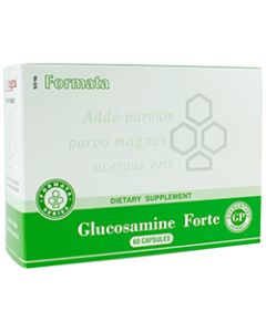 Glucosamine Forte (60)